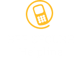 beesecure_icon_desktop beesecure_icon_desktop
